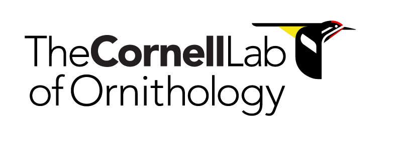 The
            Cornell Lab of Ornithology